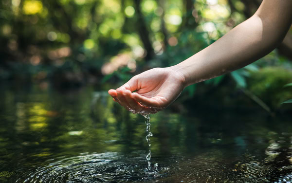 Wie Wurzer Umwelt Wasserressourcen schützt: Nachhaltige Strategien und Technologien