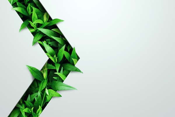 Wurzer Umwelt: Innovative Entsorgungskonzepte für eine nachhaltige Zukunft